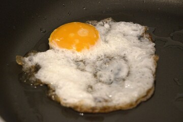 One fried egg in the pan close up