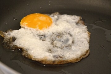 One fried egg in the pan close up