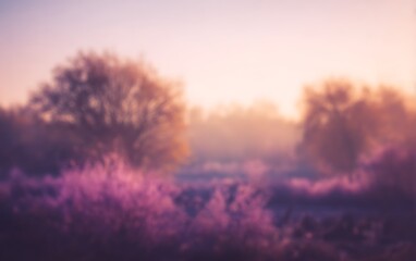 Obraz premium Blurred dreamy landscape at sunrise