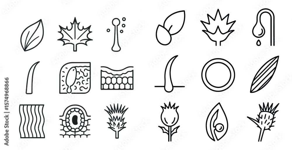 Poster the image is a collection of various plant and flower icons. the icons are arranged in two columns, 