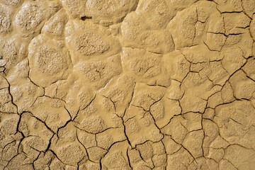 Dry cracked mud texture forming abstract pattern depicting drought and climate change