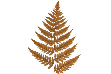 Golden fern leaf displaying autumnal warmth, rendered against transparent backdrop with crisp golden-brown textural details