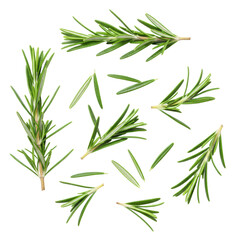 Vibrant green rosemary sprigs and individual leaves with detailed texture, perfectly formed, scattered against a transparent background with ample copy space, flat lay, bright studio lighting,