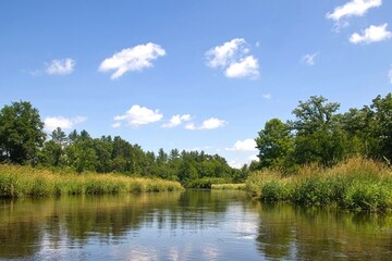 Sunny Summer day view of a placid Dells Creek flowing through a lush green forest next to Mirror Lake State Park near Baraboo, Wisconsin.
