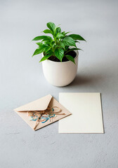 Serene Potted Plant with Kraft Envelope Mockup for Invitations or Branding