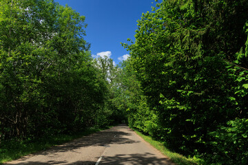 Obraz premium Road in the countryside, roadside and asphalt, green forest and fields, blue sky and clouds 