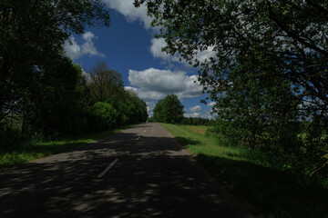 Road view on a summer day. Highways, roadside and white road line markings.