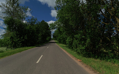 Road view on a summer day. Highways, roadside and white road line markings.