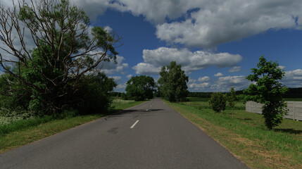 Road view on a summer day. Highways, roadside and white road line markings.