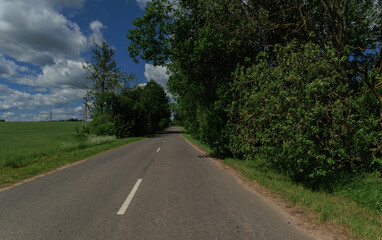 Road view on a summer day. Highways, roadside and white road line markings.