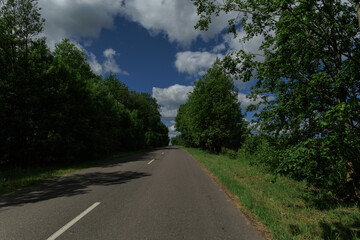 Fototapeta premium Road view on a summer day. Highways, roadside and white road line markings.