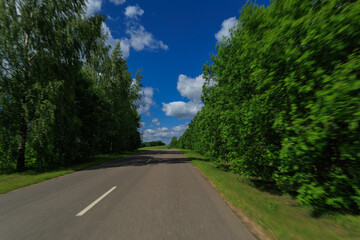 Fototapeta premium Road view on a summer day. Highways, roadside and white road line markings.