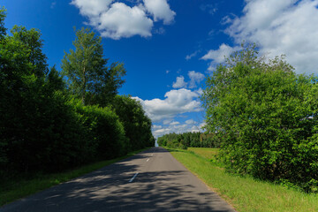 Road view on a summer day. Highways and roadside, white road line markings.