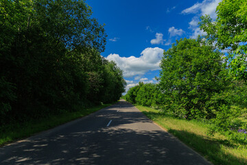 Road view on a summer day. Highways and roadside, white road line markings.