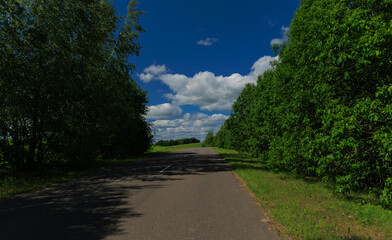 Road view on a summer day. Highways and roadside, white road line markings.