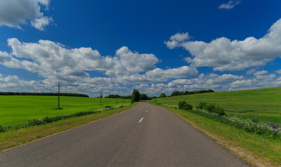 Road view on a summer day. Highways and roadside, white road line markings.