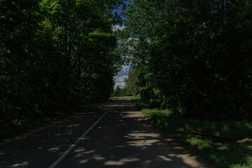 Obraz premium Road view on a summer day. Highways and roadside, white road line markings.