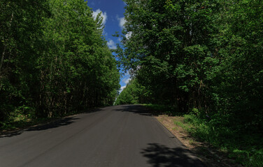 Fototapeta premium Road view on a summer day. Highways, roadside and white road line markings.