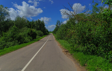 Road view on a summer day. Highways, roadside and white road line markings.