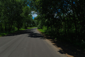 Fototapeta premium Road view on a summer day. Highways, roadside and white road line markings.