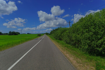Road view on a summer day. Highways, roadside and white road line markings.