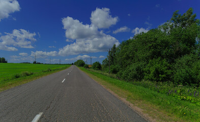 Road view on a summer day. Highways, roadside and white road line markings.