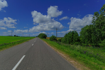 Road view on a summer day. Highways, roadside and white road line markings.