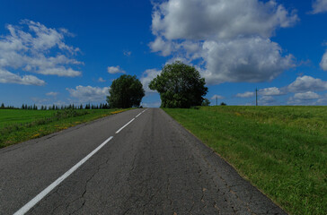 Fototapeta premium Road view on a summer day. Highways, roadside and white road line markings.
