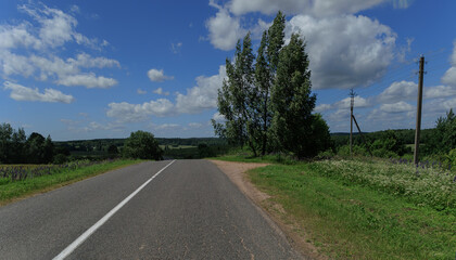 Fototapeta premium Road view on a summer day. Highways, roadside and white road line markings.