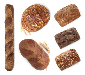 Different types of fresh bread on white background, collage. Top view