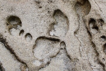 stone texture