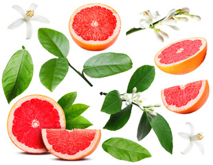 Cut fresh grapefruits, green leaves and flowers on white background, collage