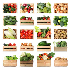 Different fresh vegetables in wooden crates on white background, collage
