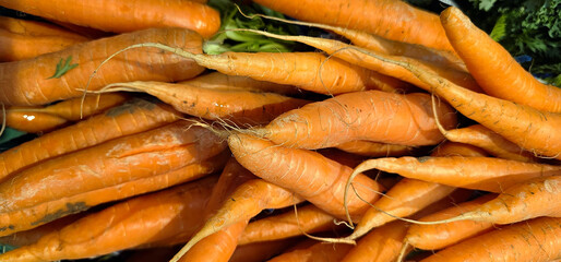 A pile of fresh, unwashed carrots displays vibrant orange color and natural imperfections. Thin roots and green tops are visible among the clustered vegetables. carrots, vegetables;