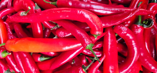 A heap of fresh red chili peppers with smooth glossy skins and green stems, ranging in color from...