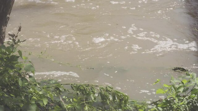 Texas 2025 flood water flowing past park shoreline