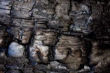 Holzkohle closeup textur