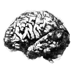 Brain with halftone stipple effect, for grunge punk y2k collage design. Vector illustration in grainy photocopy texture for experimental dotted retro banner design