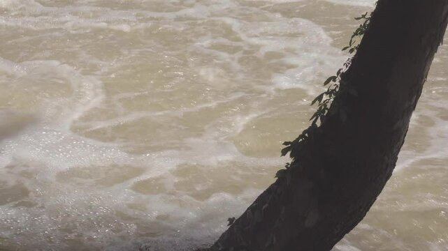 Texas 2025 muddy river flood water flowing past tree in park