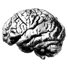 Brain with halftone stipple effect, for grunge punk y2k collage design. Vector illustration in grainy photocopy texture for experimental dotted retro banner design