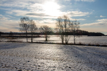 Winter field shining in the morning sun