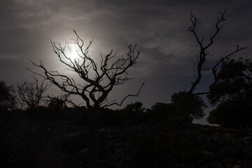 Aerial of hills and forest countryside in the fog