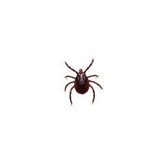 vector tick isolated on white background 