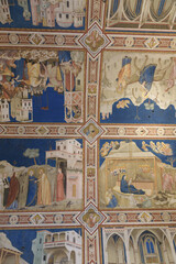 Nativity and Visitation frescoes from the Life of Christ cycle by Giotto and workshop, right...