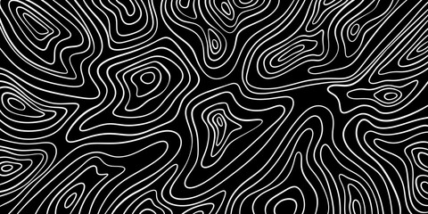 black and white abstract background, topographic map, abstract outline grid, line, texture, line art, vector illustration, pattern background