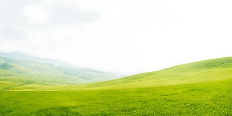 Fototapeta premium Rolling hills under soft light outdoors