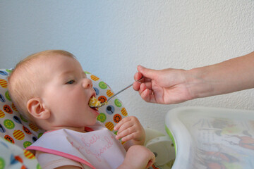 baby girl in a baby chair being fed with a spoon. baby's first feeding. baby feeding close-up