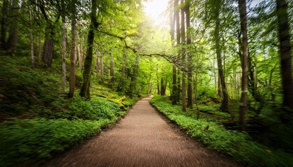 Fototapeta premium serene blurred pathway through a lush green forest
