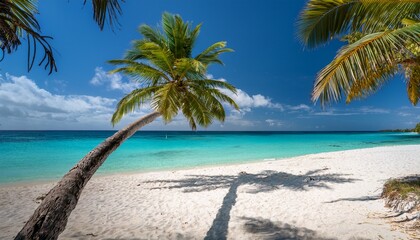 Obraz premium palm trees swaying gently in the ocean breeze on a secluded tropical beach with crystal clear turquoise waters and powdery white sand