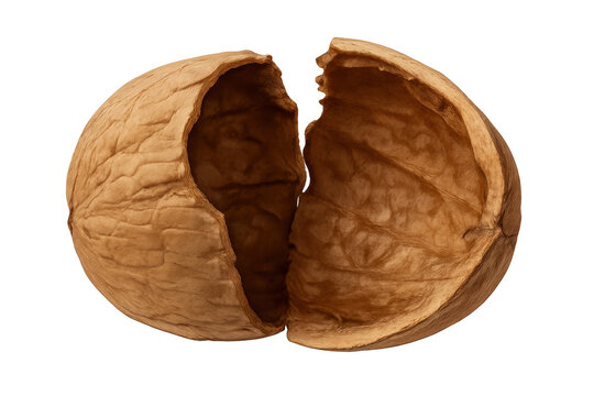 Cracked walnut shell exposing hollow interior, resting on clear surface, highlighting natural texture for culinary and botanical imagery